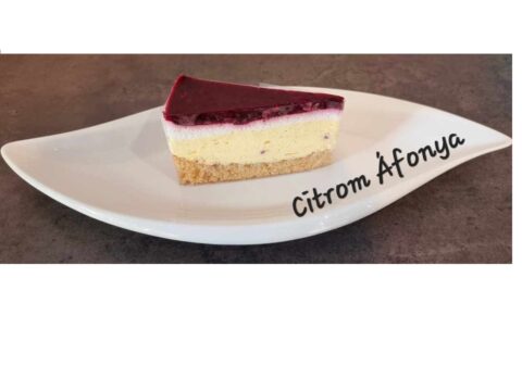 Paleoduo Citromos áfonya Gm